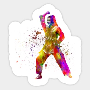 watercolor martial art Sticker